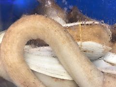 -青石桥市场北1-27号