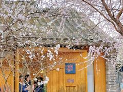 -三里河公园