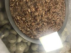 -桐香园小笼包(百井坊巷店)