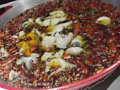 -雲蜀龙阁·金牌水煮鱼(方庄店)