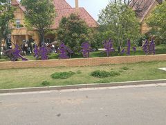 -大塘金香草谷