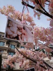 -花轿喜屋婚礼策划