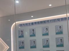 -贝利宠物医院·骨科·眼科·肿瘤转诊中心(南坪诊疗中心)