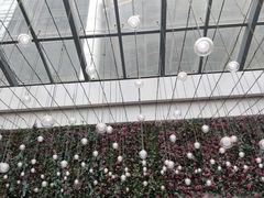 -丽达购物中心(崂山店)