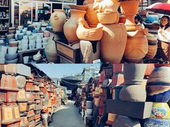 -桂林市花鸟市场