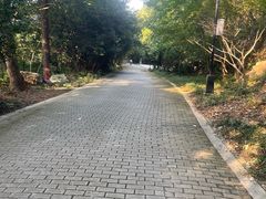 -宝岩生态观光园