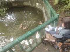 -东湖落雁景区