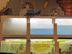 -质烤烤物·活烤海鲜(质烤总店)