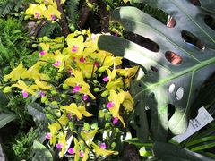 -北京植物园-展览温室