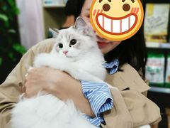 -心语宠物医院·急重症转诊中心·瑞辰华诺(南青路店)