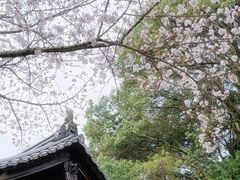 -醍醐寺