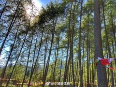 -硗碛藏寨·神木垒景区