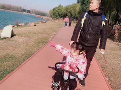 -丁香湖公园