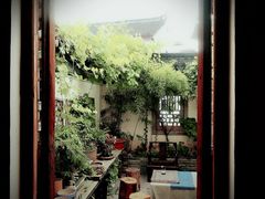 -普洱茶府(博乐广场店)