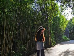 -三亚亚龙湾人间天堂鸟巢度假村