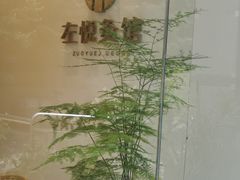 -左悦·艾灸调理·推拿按摩·精油SPA(卓悦汇店)