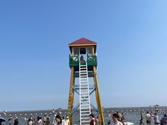 -碧海金沙