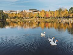 -浙江农林大学(东湖校区)
