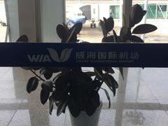 -威海大水泊国际机场
