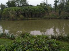 -白鹭湾湿地公园