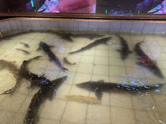 -胖姐渔村(中源大道店)