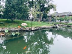 -三里河公园