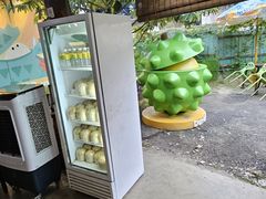 -榴莲BB 四季果园