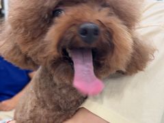 -瑞鹏宠物医院·超声·骨科·奇麟分院(蜀都万达店)