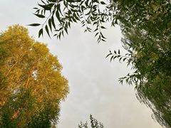 -三里河公园