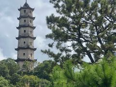 -江心屿景区