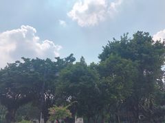 -十九路军淞沪抗日阵亡将士陵园