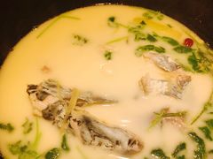 -咕嘟草帽鱼·牛奶一样的鲜鱼汤(包河万达广场创始店)