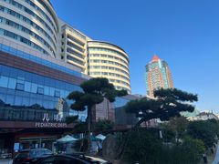 -上海市东方医院(总院)