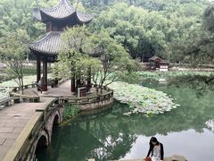 -忠山公园