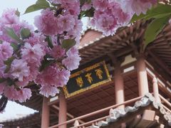 -西安青龙寺遗址景区