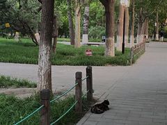 -宣武艺园