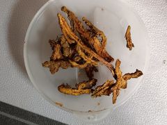-春满园生态餐厅(南宫路店)
