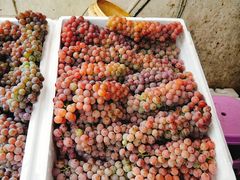 -昆明东站水果交易市场