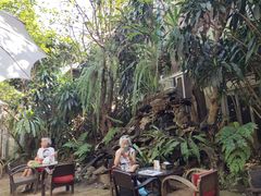 -Fern Forest Cafe