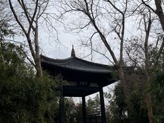 -蜀冈西峰生态公园