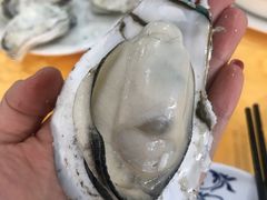 -蚝专家(北滘店)