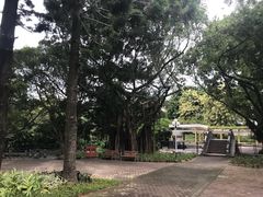 -人民公园(罗湖区)