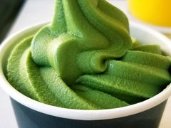 -雪绿茶博物馆