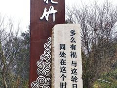-花竹村