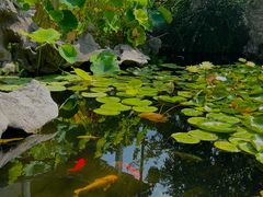 -苏州冶园园林民宿(太湖西山风景区店)