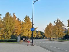 -四川大学(江安校区)