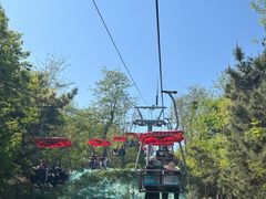 -青岛中山公园-索道售票处