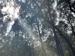 -四门塔风景区