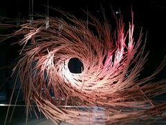 android_upload_pic-溱湖国家湿地公园