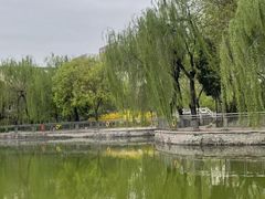 -黄村公园